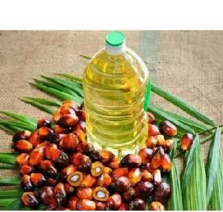 पाम तेल निर्यात प्रतिबंध हटाएगा इंडोनेशिया पाम तेल निर्यात प्रतिबंध हटाएगा इंडोनेशिया